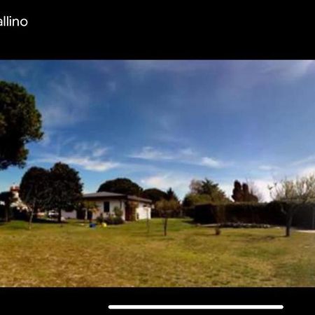 Villa Pinna Cavallino-Treporti Eksteriør billede